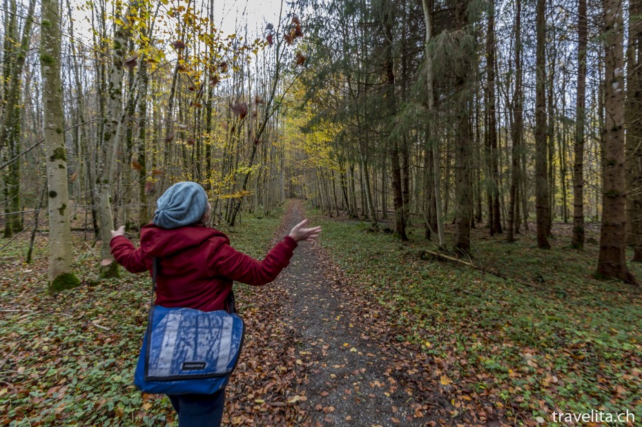 Wildnispark-Sihlwald-Herbstfun