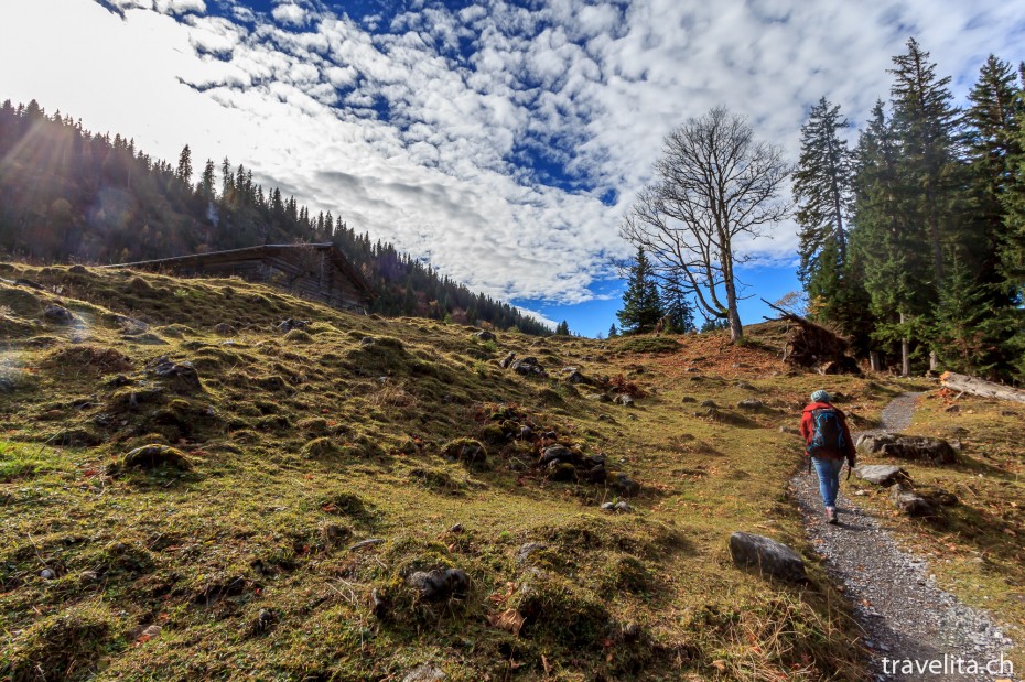 axalp-16