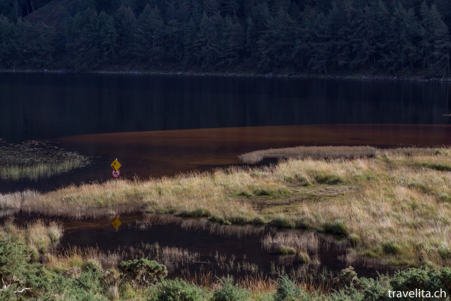 glendalough-tower-16