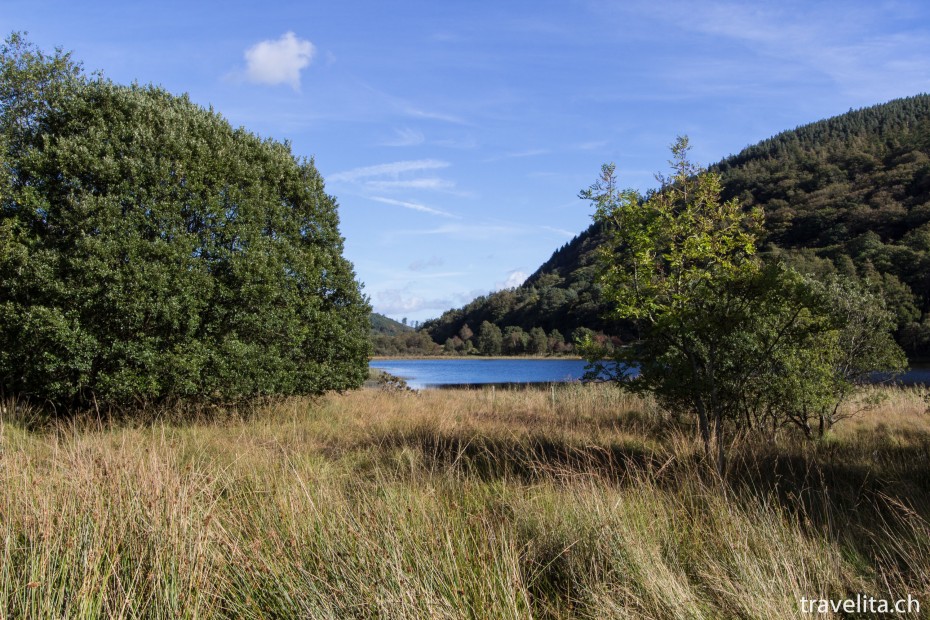 glendalough-tower-22