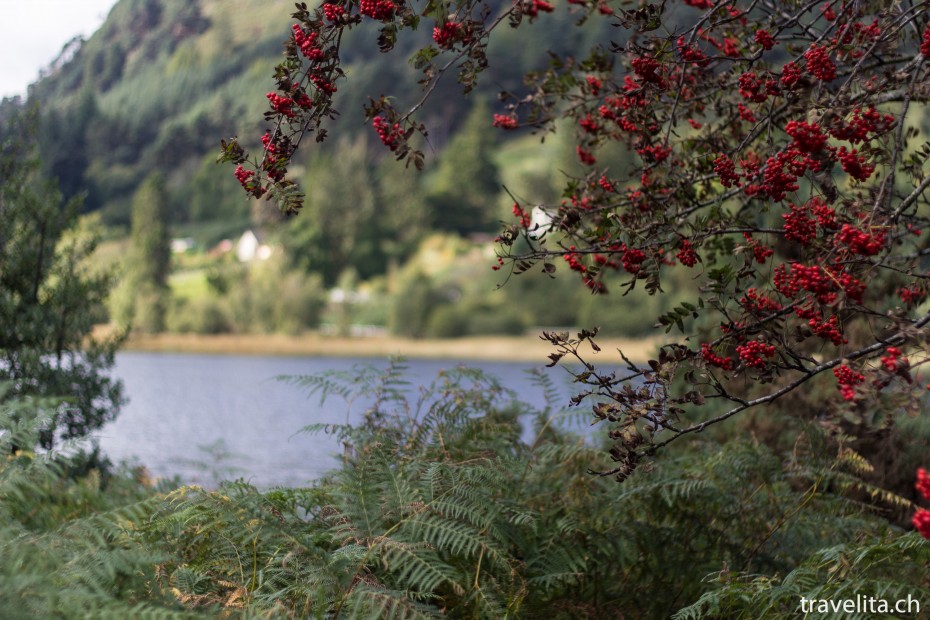 glendalough-tower-9