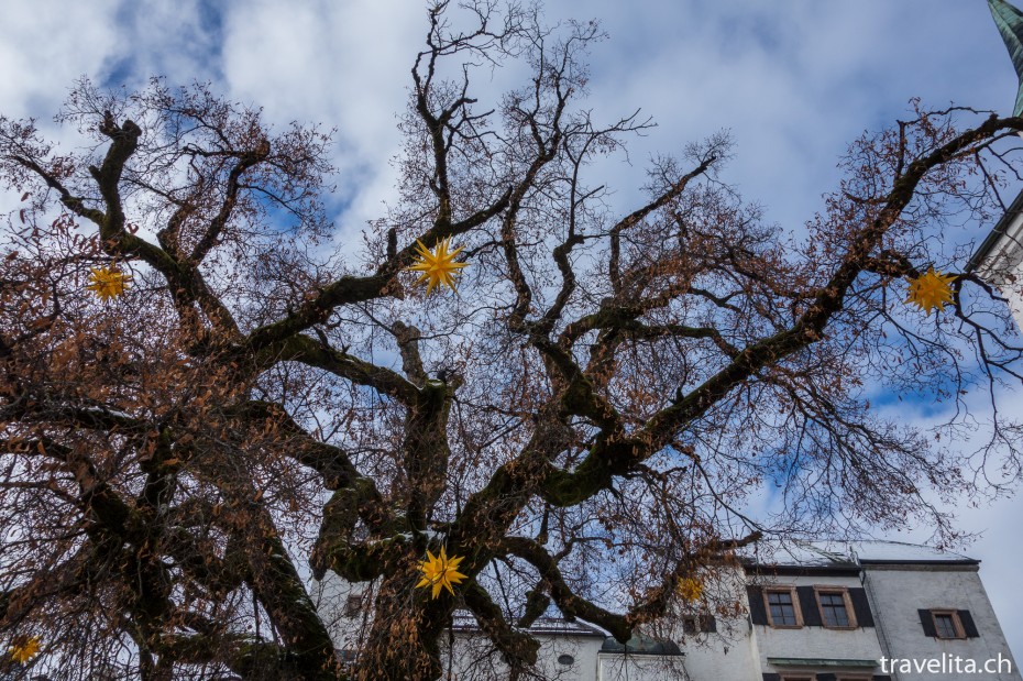 Festung Hohensalzburg Baum mit Sterne