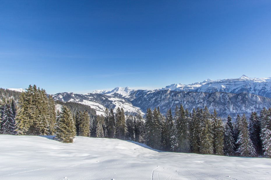 Winter Berner Oberland Thunersee