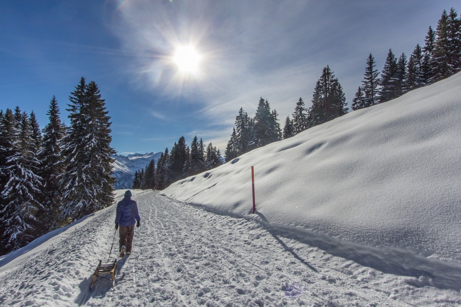 Winterwandern mit Schlitten