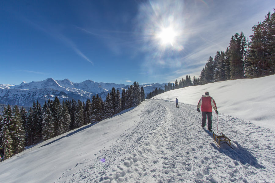 Niederhorn – Schlittenwandern mit Panorama