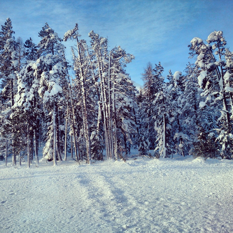 Schweizer_Nationalpark_1