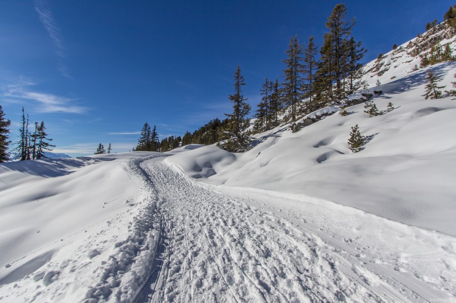 Winterwandern-Niederhorn-2