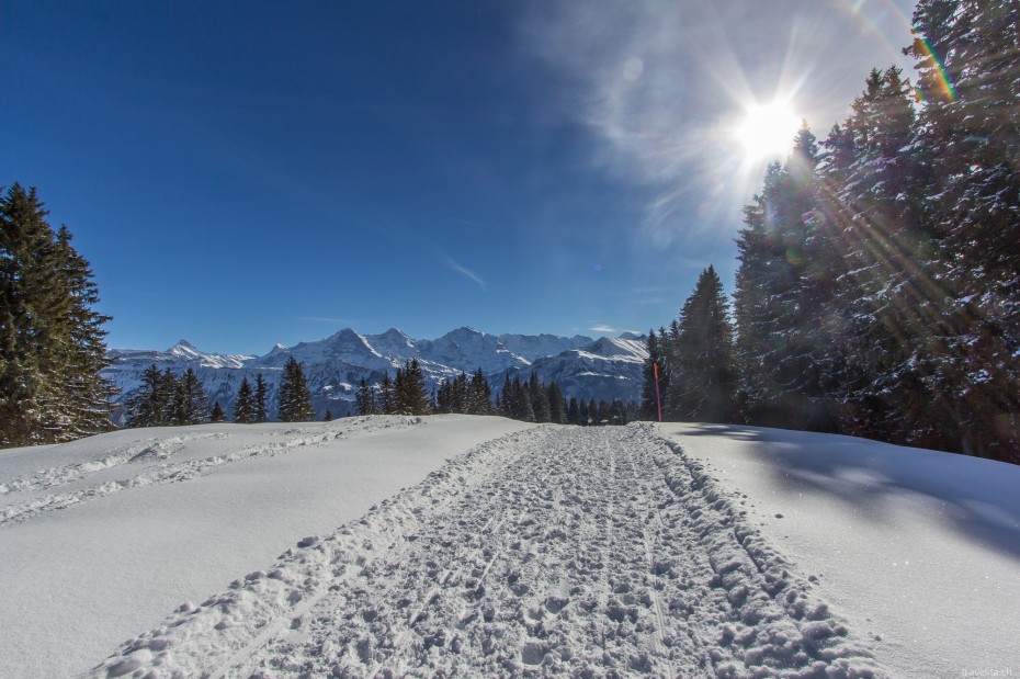 Winterwandern-Niederhorn-4