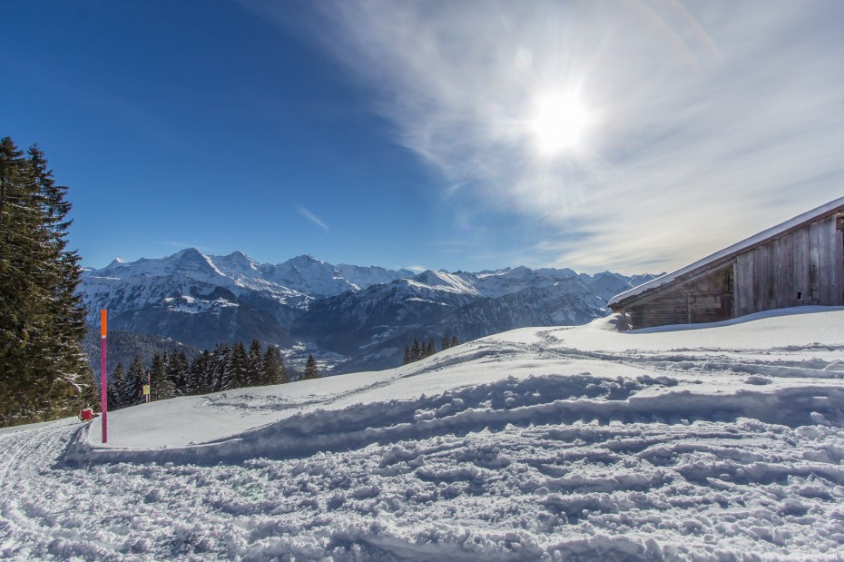 Schlittelweg Waldegg Thunersee