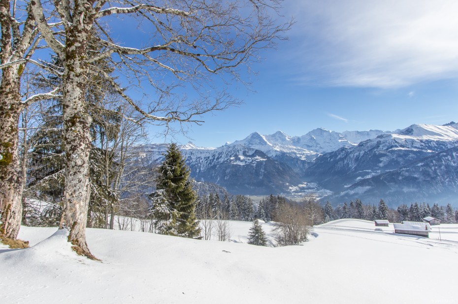 Winterpanorama Eiger Moench Jungfrau