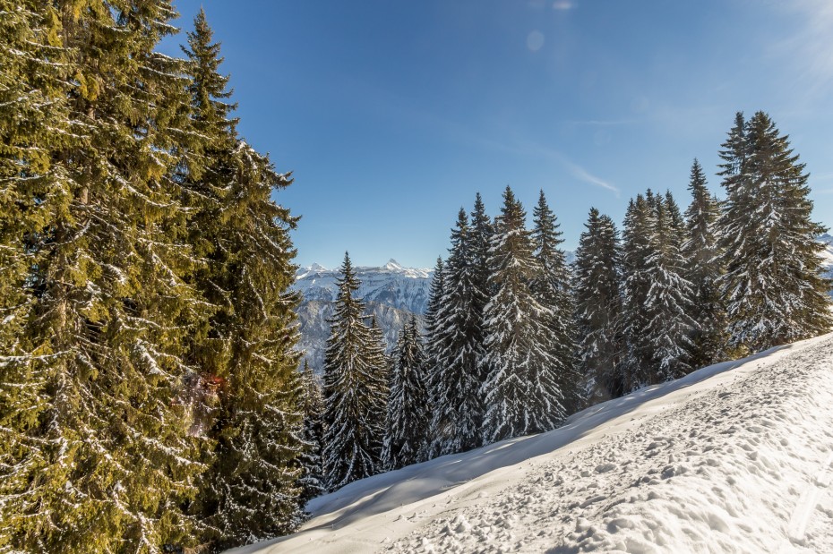 Berner Oberland Winterlandschaft