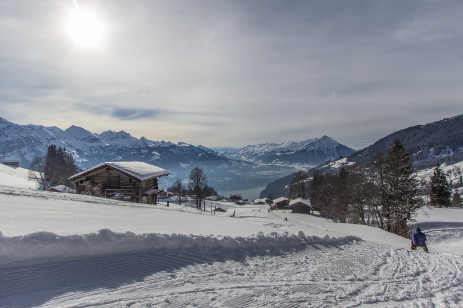 Schlittelpiste Berner Oberland