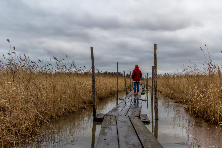 Im Sumpf – Ausflug zu den Wurzeln von Helsinki