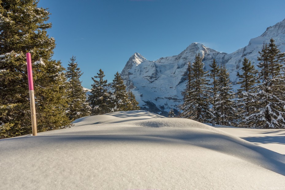 muerren-19