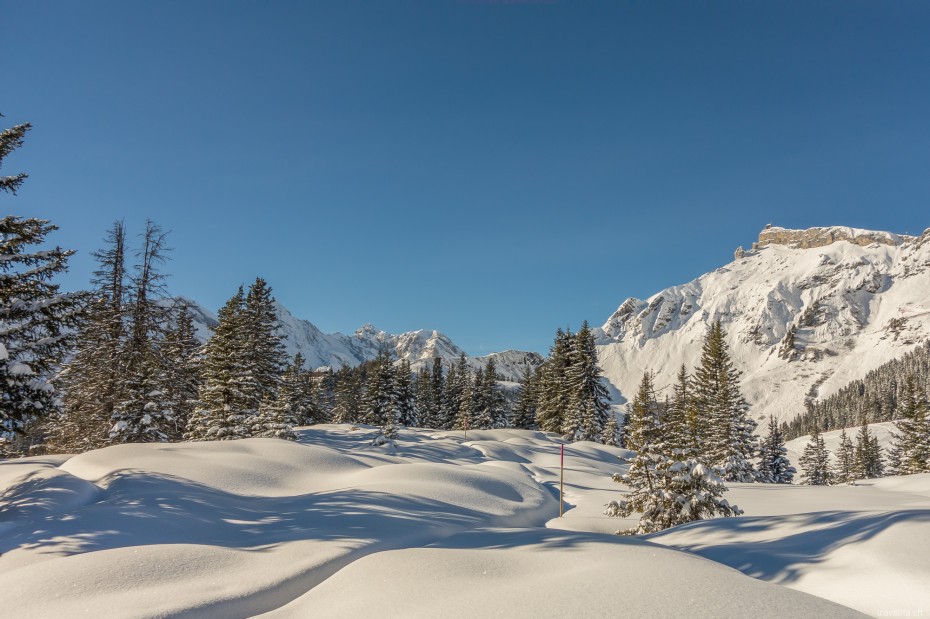 muerren-22