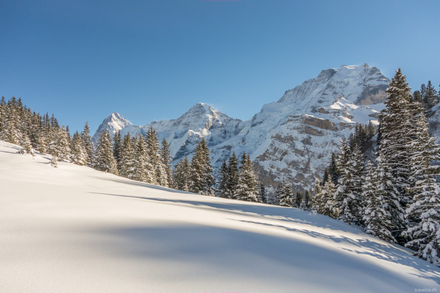 Mürren – Schneeschuhtour im Berner Oberland