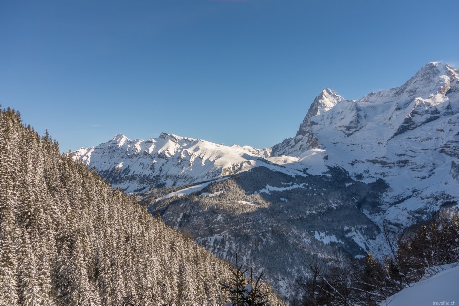 muerren-24