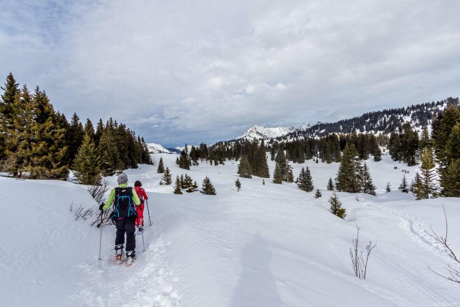 Schneeschuhtour in den Waadtländer Alpen