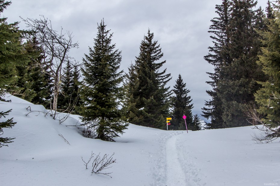 villars-schneeschuhe-23