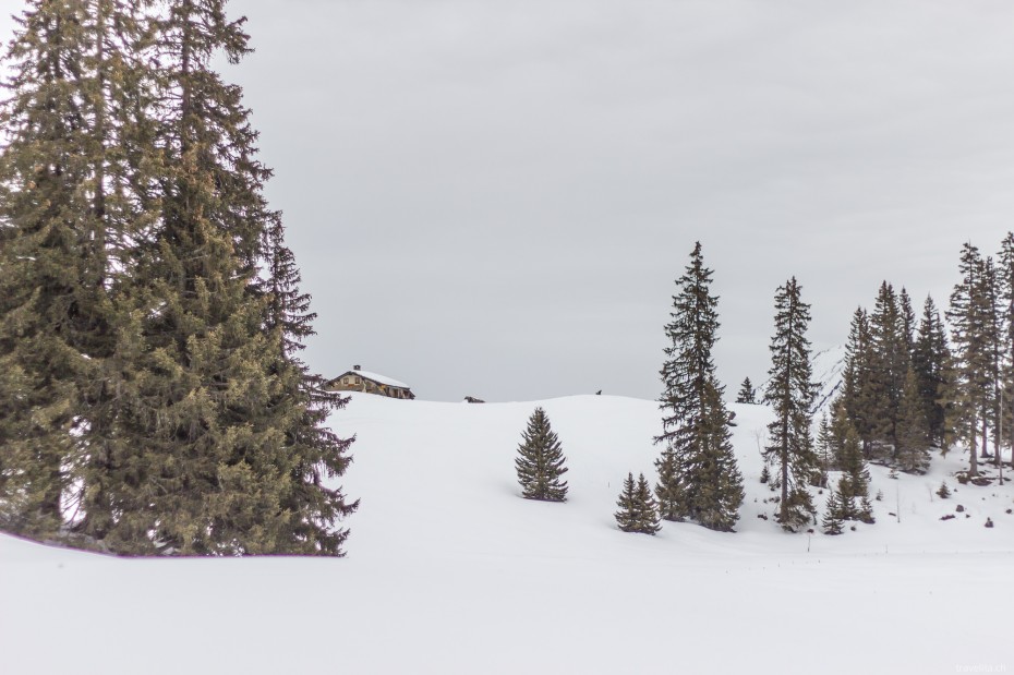 villars-schneeschuhe-30