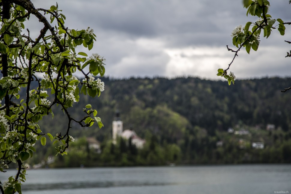 Marienkirche im Bleder See