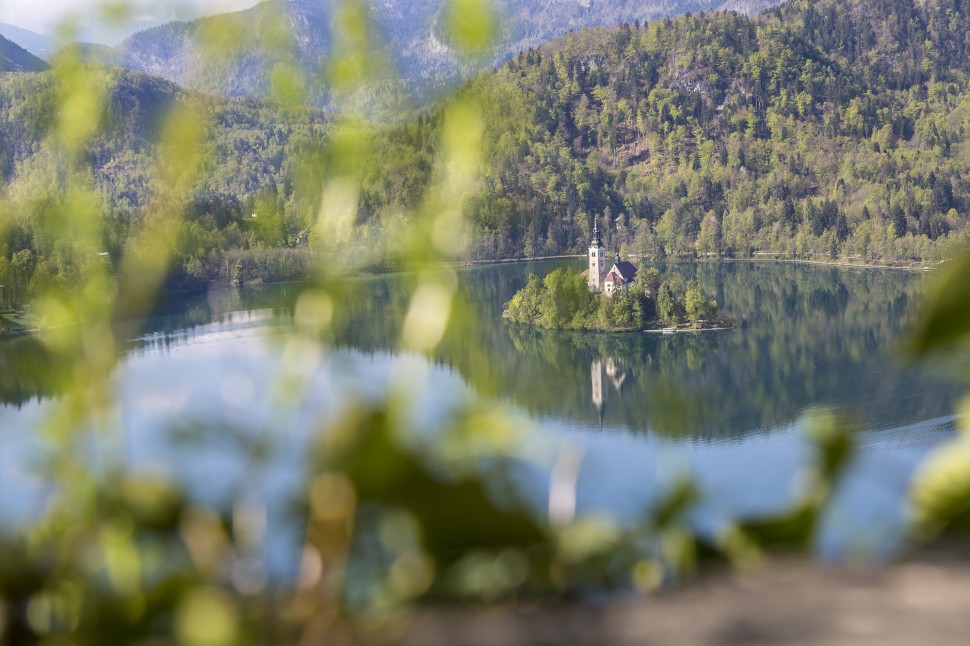 Bled-See-Slowenien-33