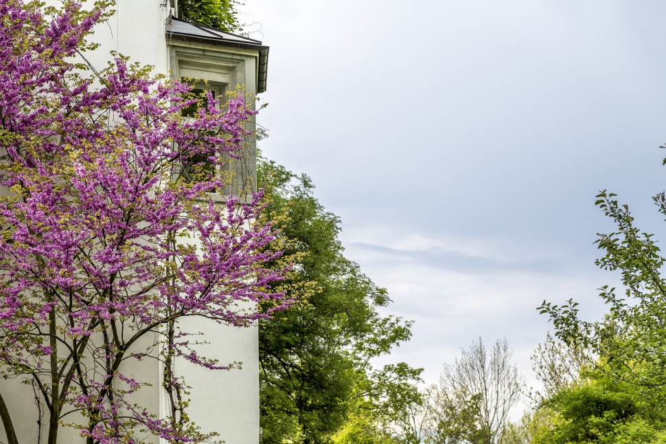 Schloss-Wartegg-Park-4