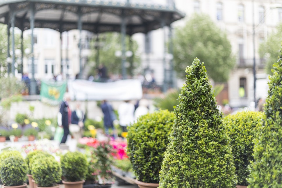 Gent-Blumenmarkt-Kouter-4