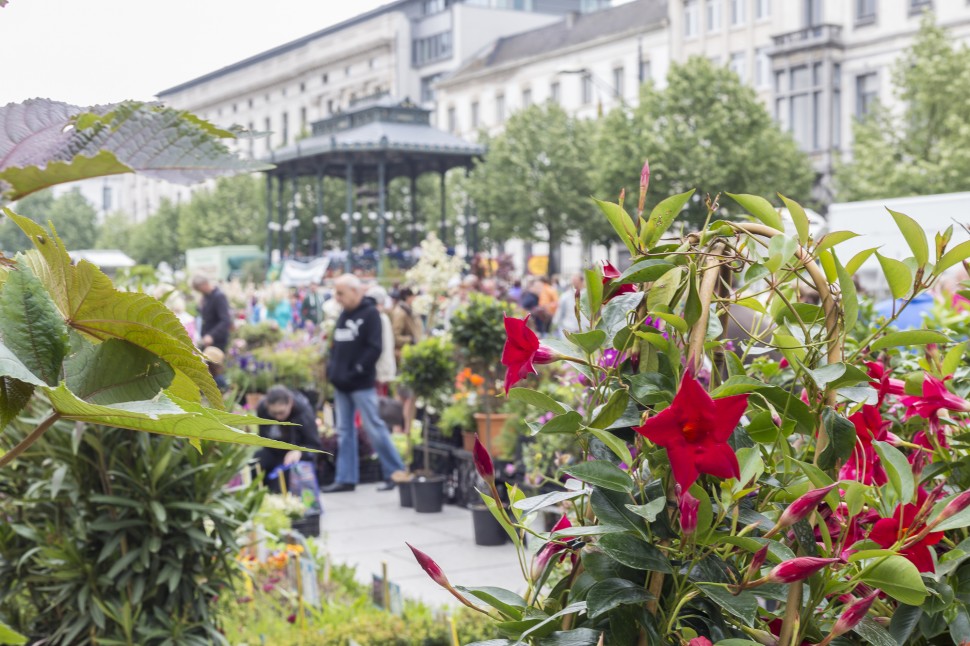 Gent-Blumenmarkt-Kouter-5