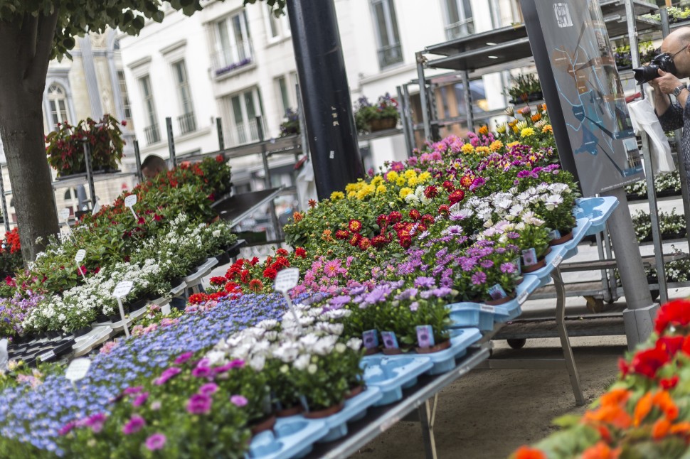 Gent-Blumenmarkt-Kouter-6