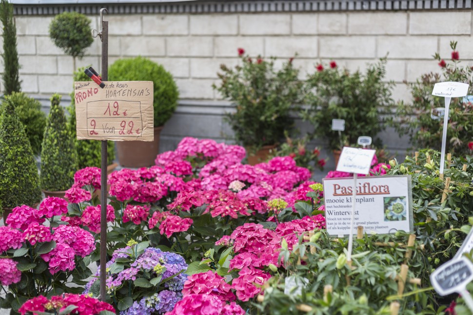 Gent-Blumenmarkt-Kouter-9