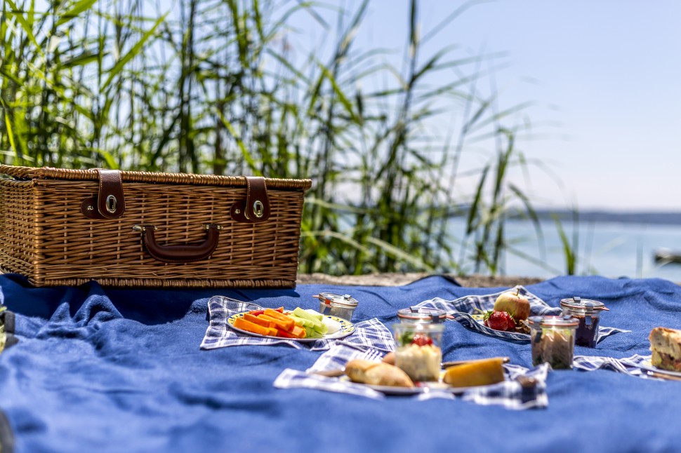 Picknick-am-Bielersee-Fontana-2