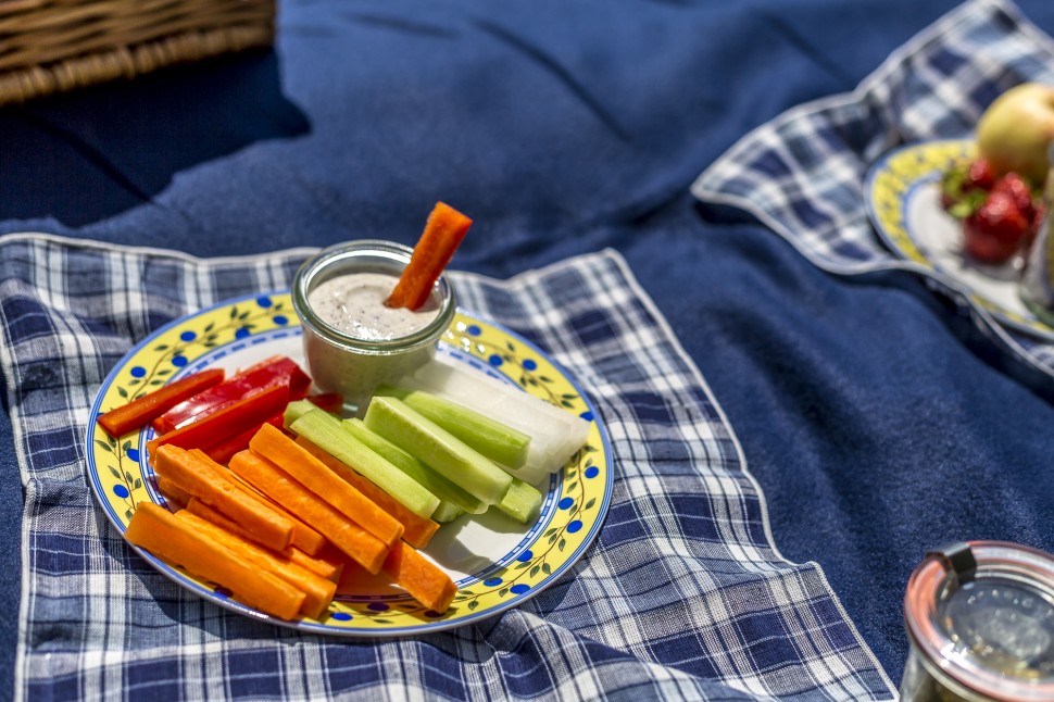 Picknick-am-Bielersee-Fontana-4