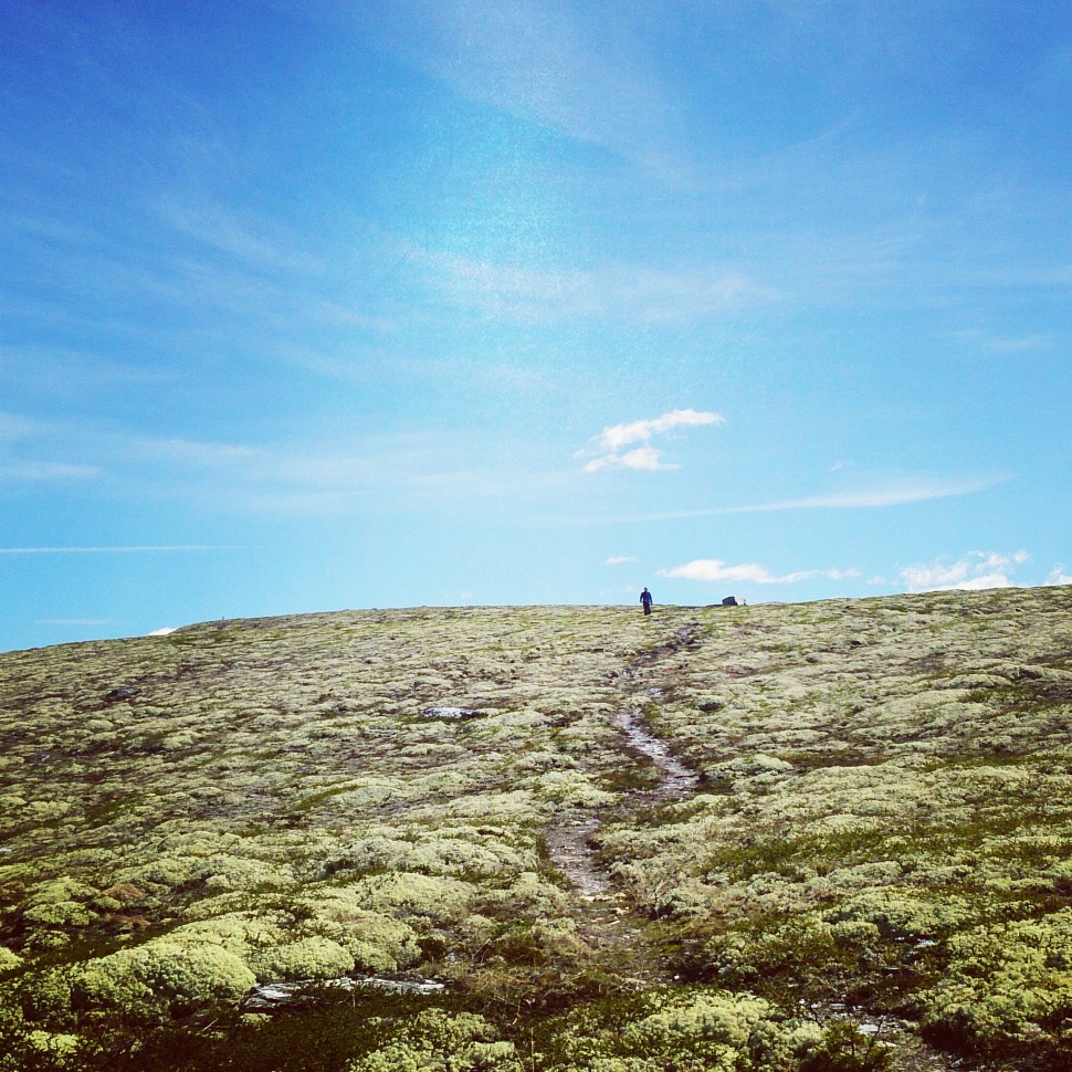 Rondane-Nationalpark