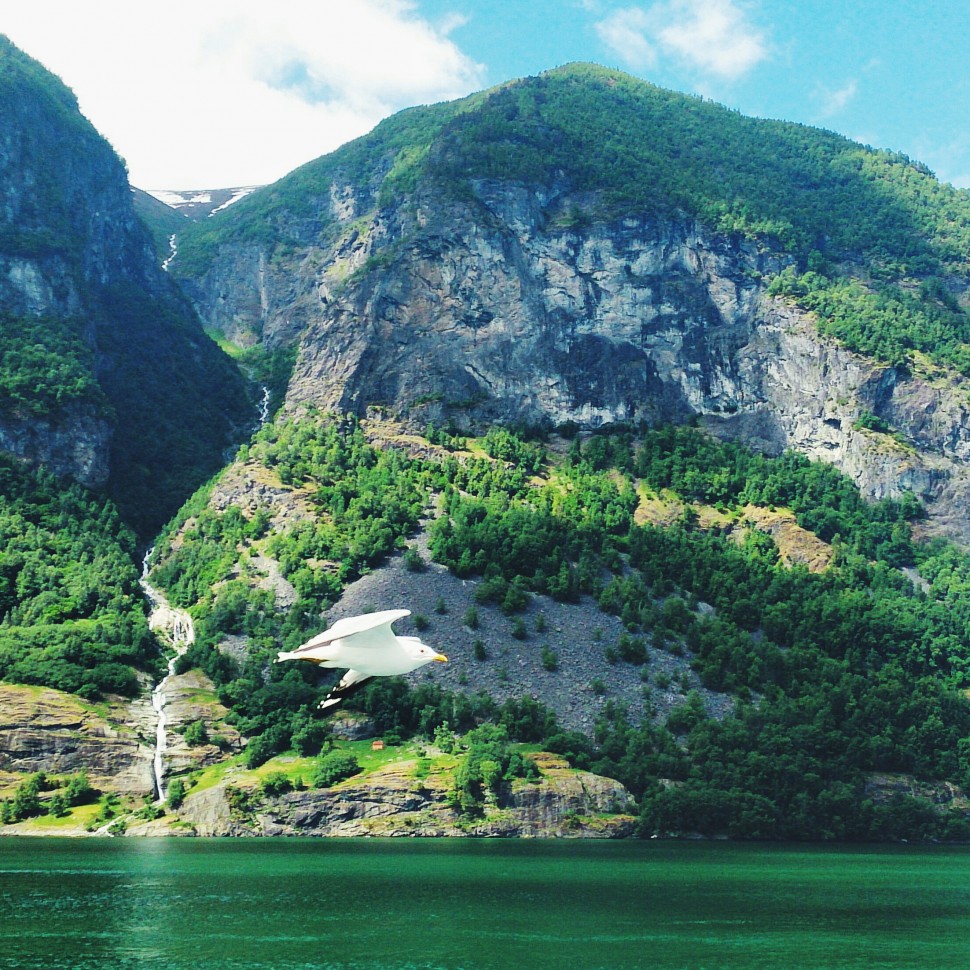 Sognefjord