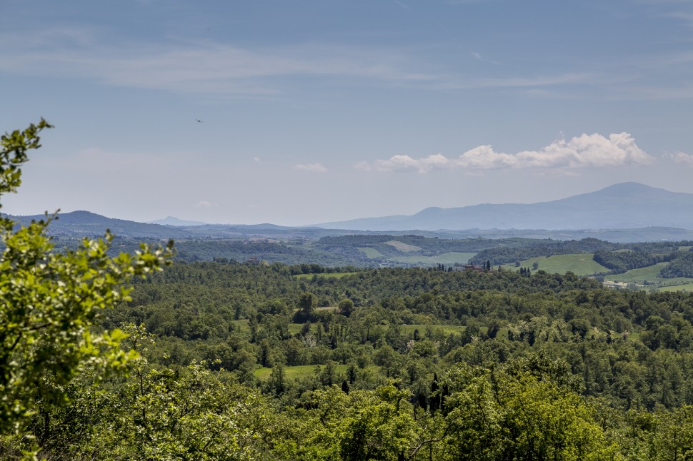 Toskana-Chianti