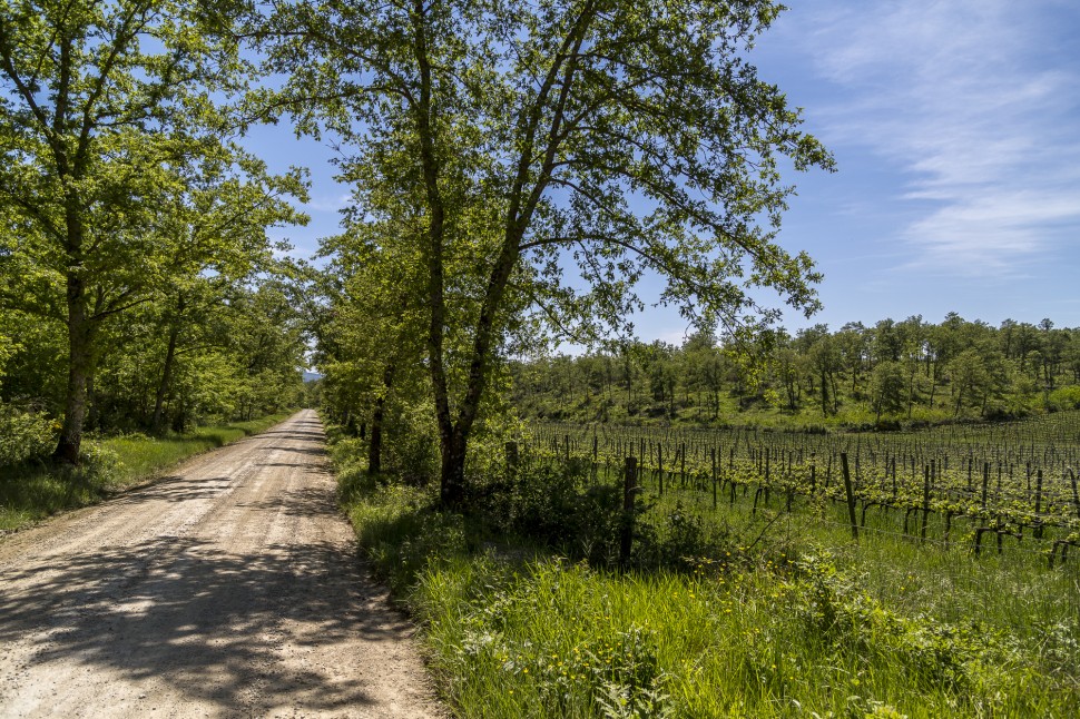 Toskana-Chianti-Radweg