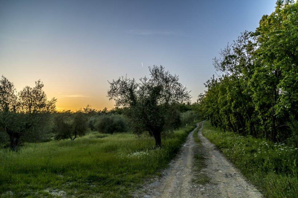 Toskana-Sonnenuntergang