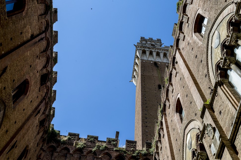 siena-torre-del-Mangia-3