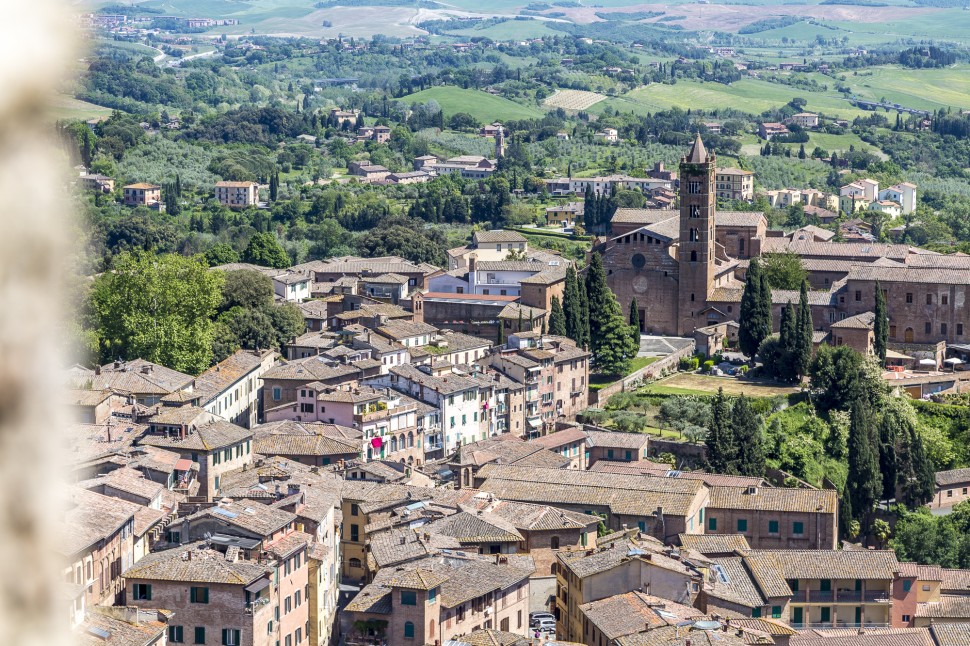 siena-torre-del-Mangia-view-6