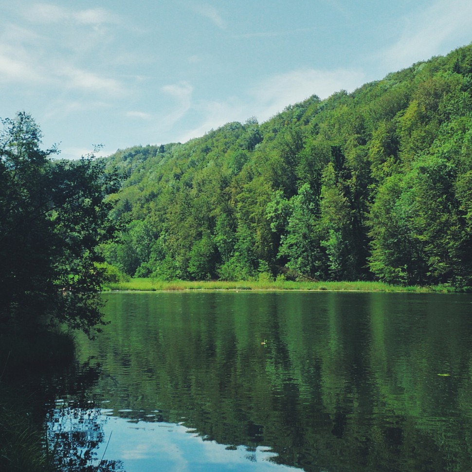 Egelsee-Berikon