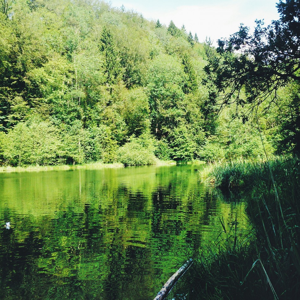 Egelsee-Sommer