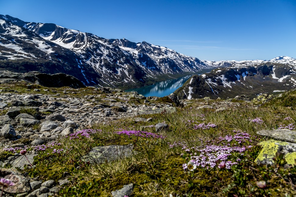 Jotunheimen Besseggen Ridge