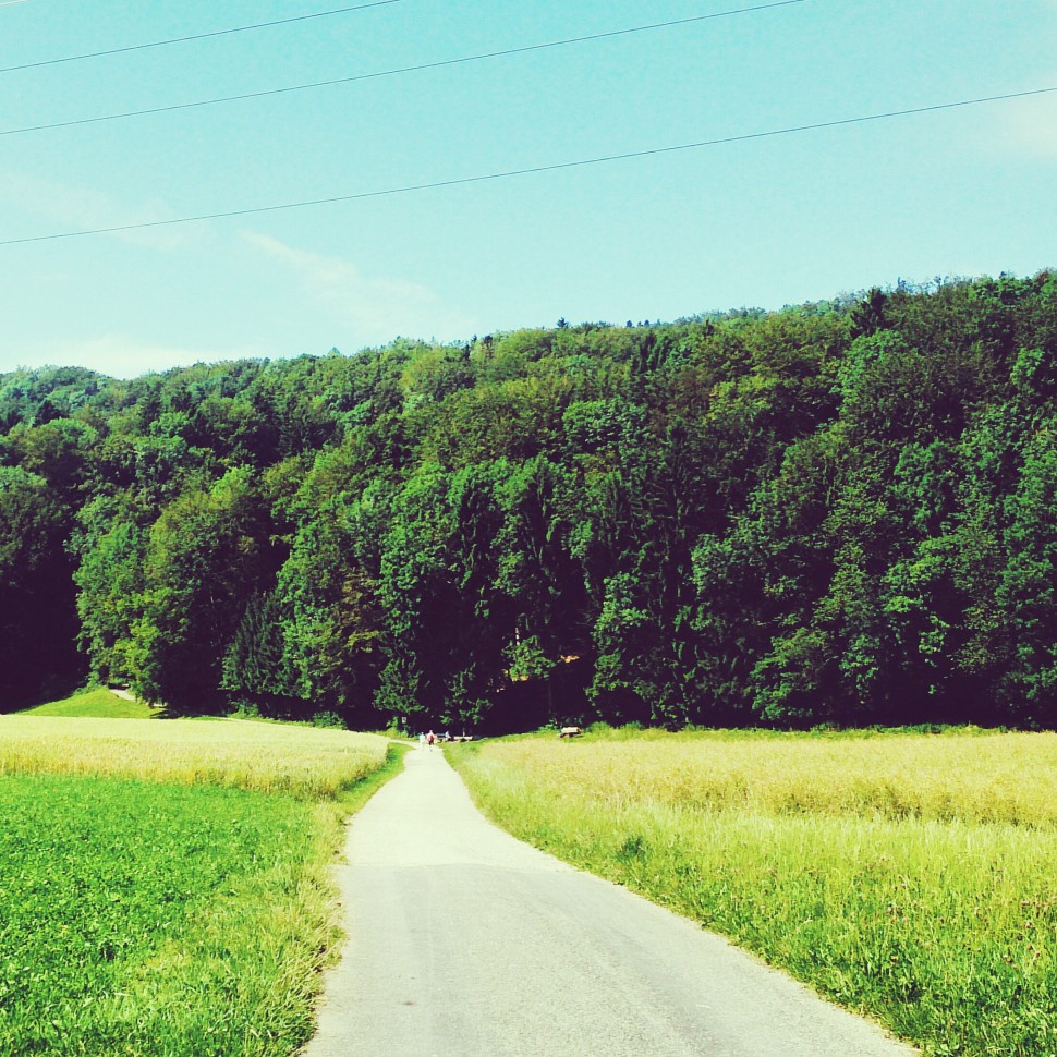 Wanderweg-zum-Egelsee