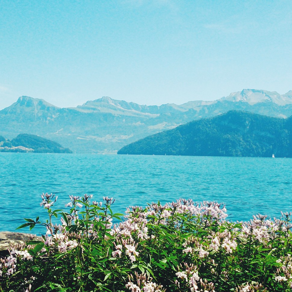 Weggis-Vierwaldstättersee