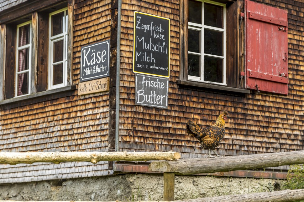 appenzell-Alpbetrieb