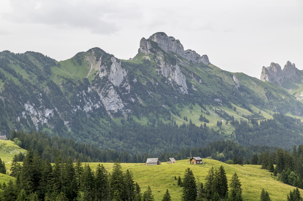 appenzell-alpstein-2