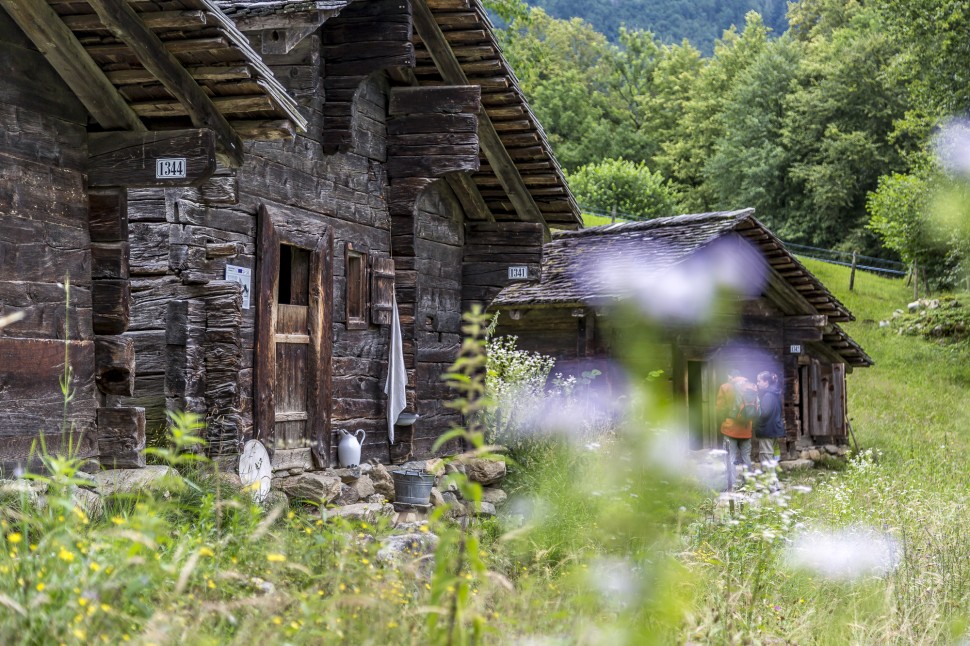 Wallis-Sennhütte-22