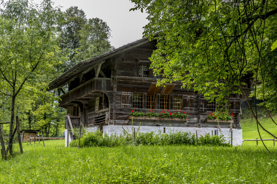 Ballenberg – raus trotz Regen