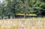 Ballenberg Raus Trotz Regen Schlechtwetterprogramm Berner